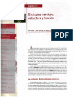 Curtis 7° Edicion en Español PDF