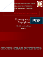 6 - Staphilococcus