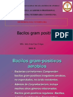 8-bacilos-gram-positivos