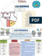 Las Enzimas PDF