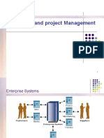 ERP Project Management and Monitoring PDF
