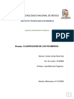 Ensayo Clasificación de Polímeros Cortes Cortes