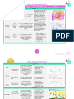 Etapas Del Desarrollo Gráfico