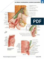 Atlas de Anatomia Humana Netter 6ed Medilibros - Com 158