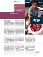 EL CAMOTE.pdf