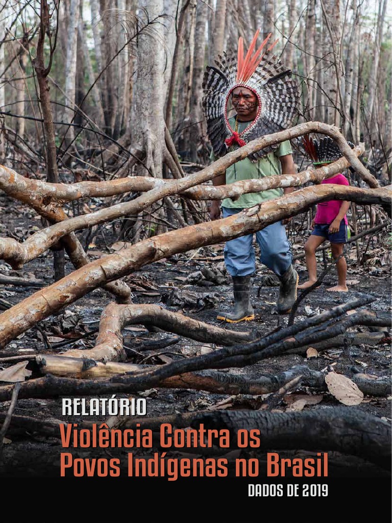 Mbya Guarani denunciam invasão de terra indígena no Lami para