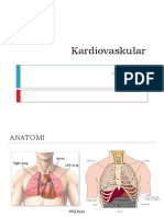 Kardiovaskular