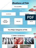 Classifications of Fish