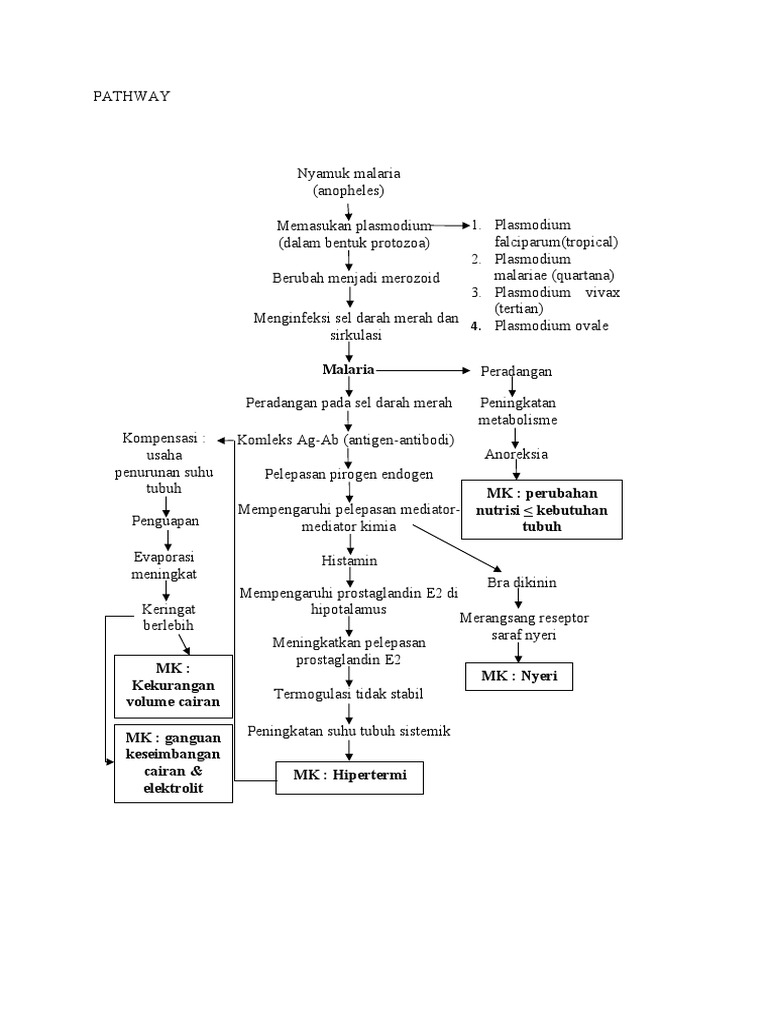 Mekanisme Patofisiologi Malaria | PDF