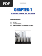 Download sumul summer project by Anchor Paresh Chaudhari SN47875085 doc pdf