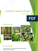 Prakarya Tanaman Pangan