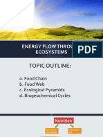 Energy Flow Through Ecosystems