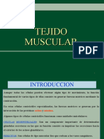 Tejido Muscular