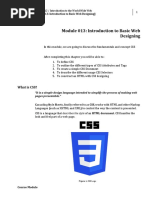 Week 13 Introduction Basic Web Designing