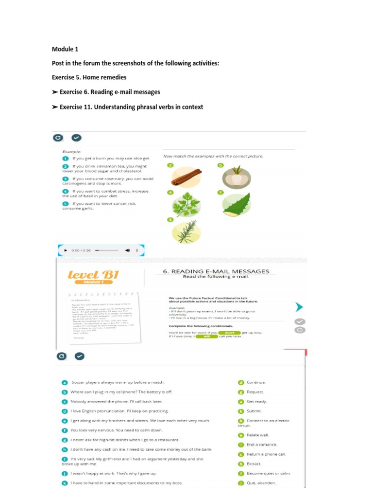 Exercise 6. Reading E-Mail Messages Exercise 11. Understanding Phrasal ...