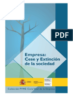 6 - 2 - MANUAL - EMPRESA - Cese y Extincion PDF