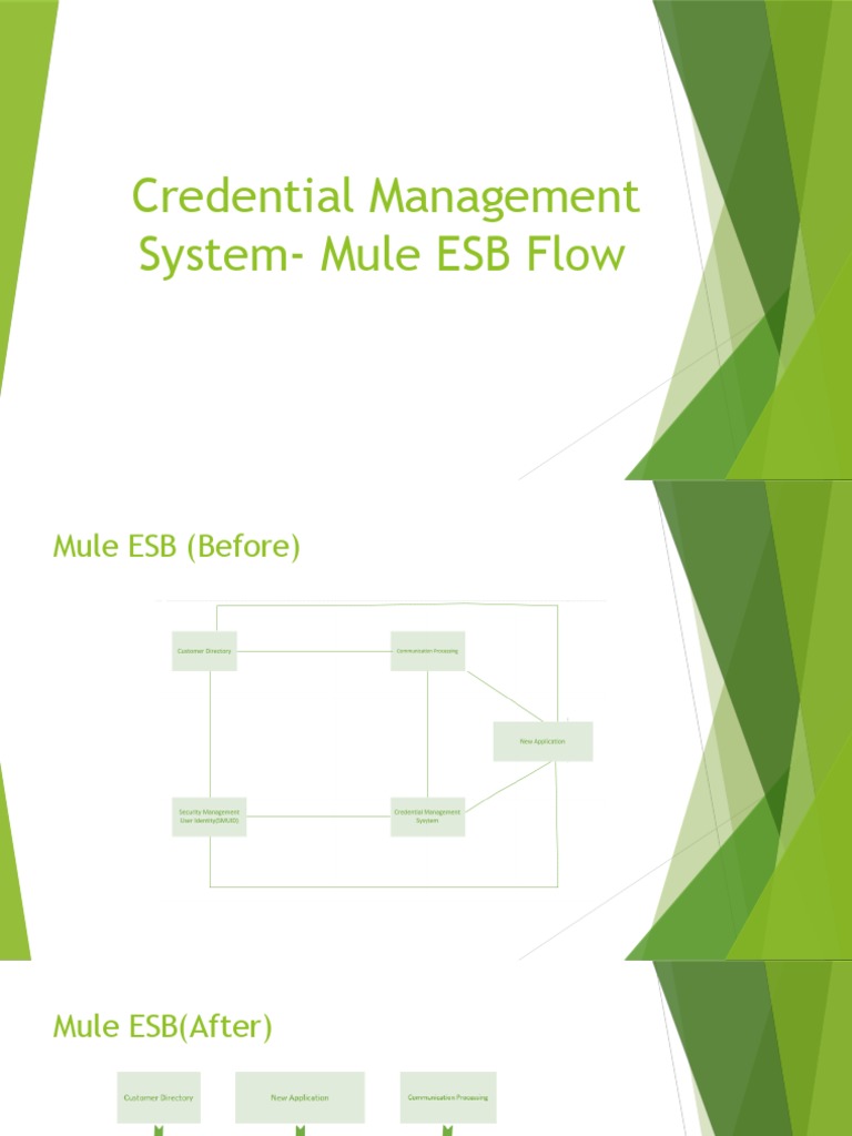 Mule ESB Credential Management Flow | PDF