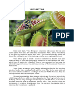 VENUS FLYTRAP-1.docx