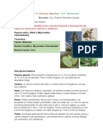 informes oyola.docx