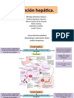 Hepatitis Alcoholica