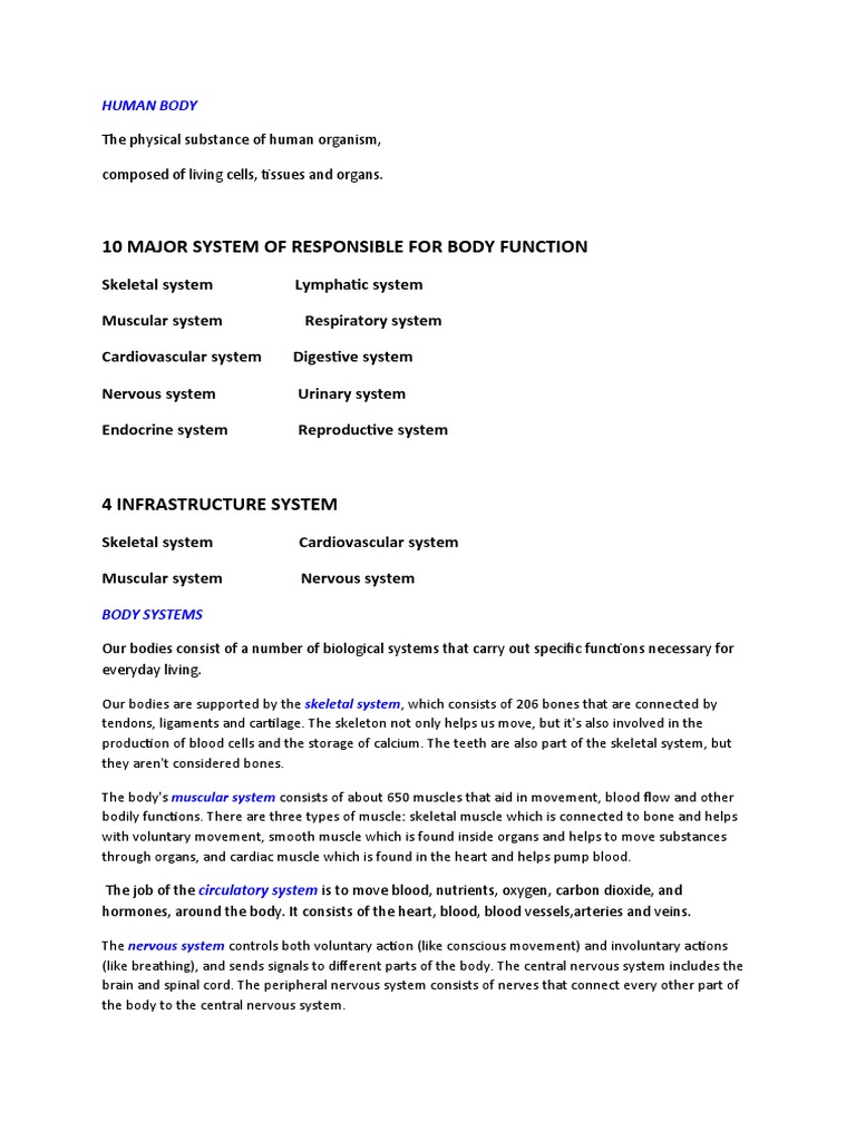 10 Major System of Responsible For Body Function | PDF | Epithelium ...