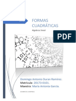 Formas Cuadráticas Domingo Duran PDF