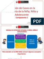 Atención de Casos en La DNA - Parte 1 PDF