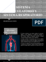 SISTEMA CIRCULATORIO Y SISTEMA RESPIRATORIO - Exposición