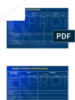 Anexo Modelo Matriz Dfi