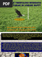 Download Slptt Kacang Tanah-sumenep2 by R Iskandar Zulkarnaen SN47878225 doc pdf