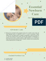 Essential Newborn Care Steps