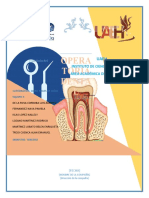 PULPA Histología Dental