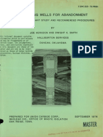 Halliburton Plug Placement 1976.pdf
