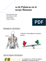 Sistema de Palancas en El Cuerpo Humano