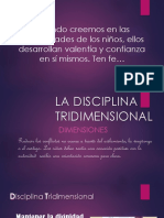 Diapositivas de La Dimensión Acción Disciplina C Dignidad
