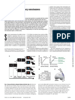 Crows Possess Higher Intelligence Long Thought Primarily Human 20 ARTÍCULO PDF