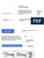 Taller Emociones