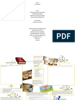 Mapa Conceptual