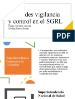 Entidades Vigilancia y Control en El SGRL