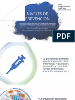 Niveles de Prevencion PDF