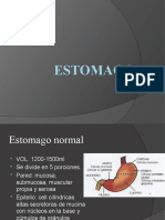 Estomago