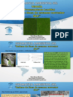 Relleno SLC Landsat 7 PDF