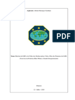 Aspirante Alfredo H. Cumbane-IV PDF