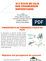 Capitulo 5 Flujo de Caja y Estados Financieros Presupuestados PDF