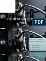 Entreno de Fuerza