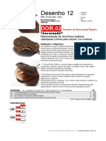 DOR12 02 Jacarandá AM 2020-2021