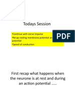 Todays Session: - Continue With Nerve Impulse - Recap Resting Membrane Potential and Action Potential - Speed of Conduction