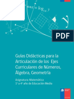 Guias Didacticas Articulacion y Modelizacion.pdf