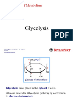 8-glycolysis