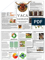 11x17+Sacred+Cow+Brochure+Spanish.pdf